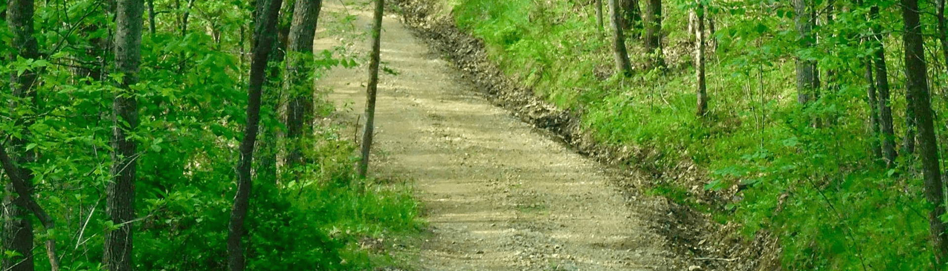 A winding dirt path through a lush green forest.