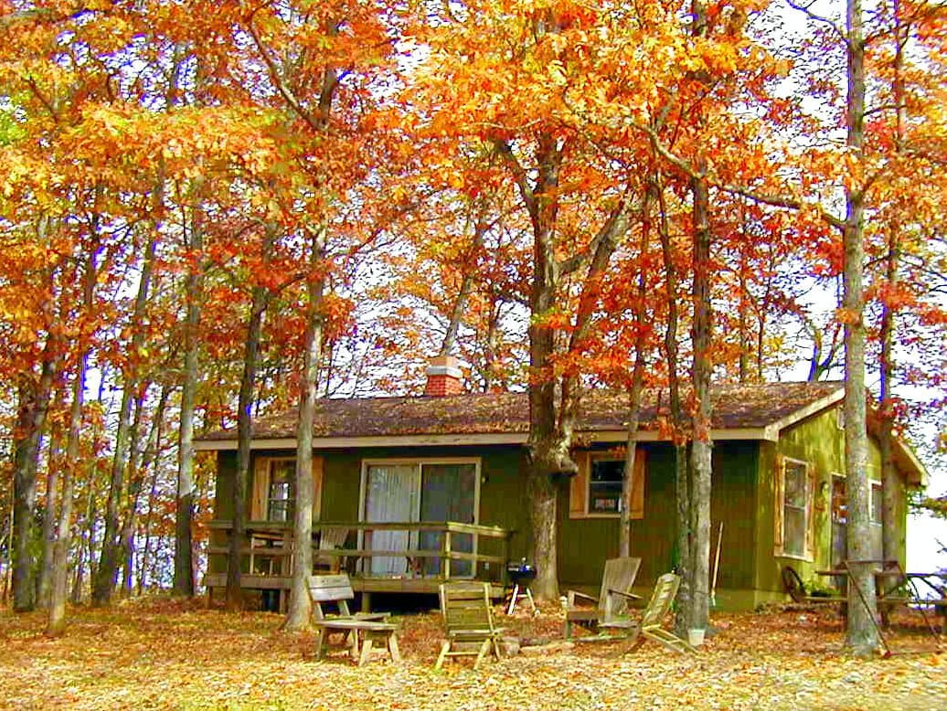 Turkey Ridge Cottage in the trees